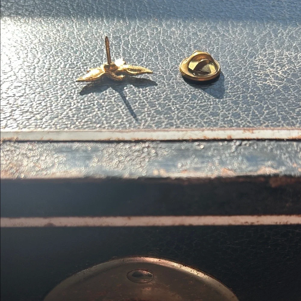 Gold Eagle Lapel Pin